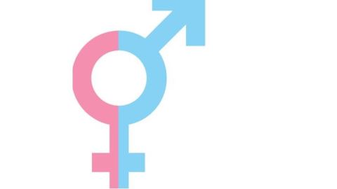 Image of the male and female plus and arrow signs.
