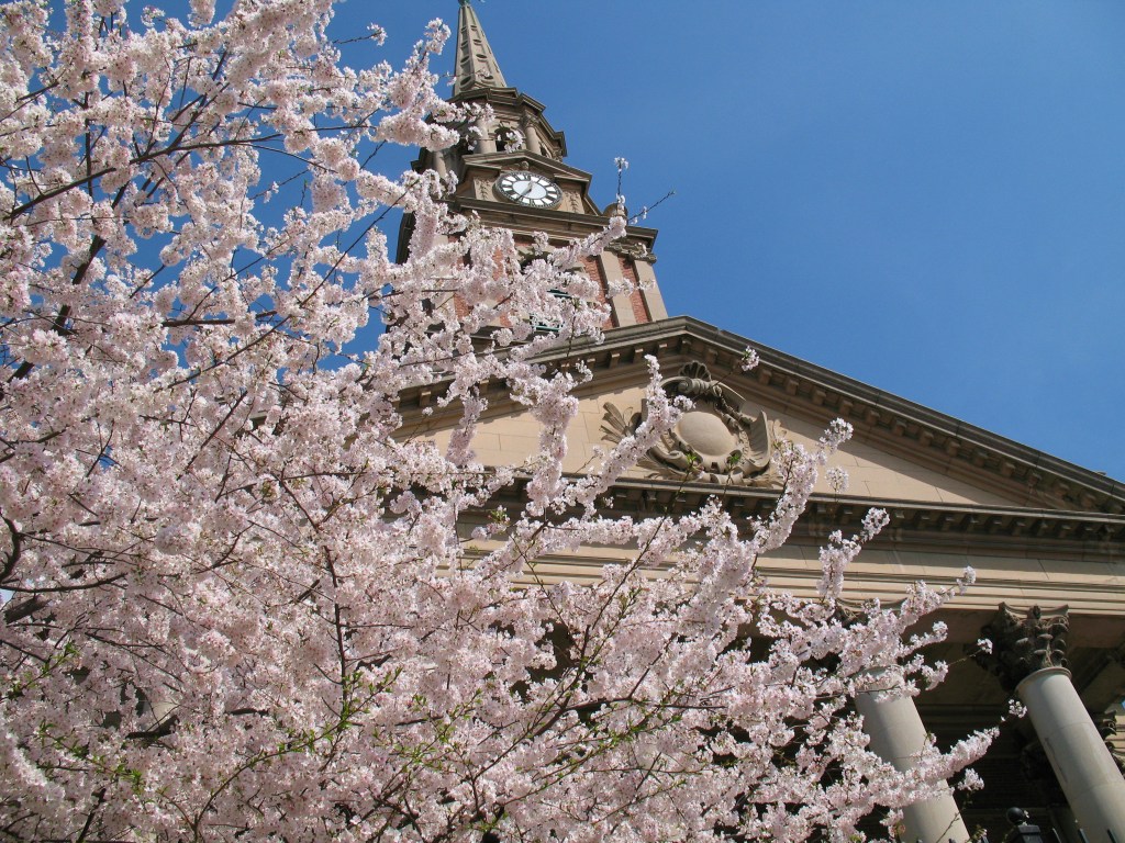 Blooming cherry tree in front of All Souls Unitarian Church (1924, Coolidge & Shattuck) at 16th and Harvard Streets NW. Photo by Mr.TinDC (Flickr) CC BY-ND 2.0