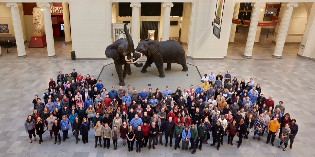 Image of a large group of people in front of taxadermied elephants taken from above