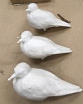 Semipalmated (top), western, and white-rumped sandpiper models coated in wax. These were created from an 3D scan of a Baird's sandpiper and printed to scale.