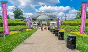Concept image for the new entrace to the Phipps Conservatory and Botanical Gardens
