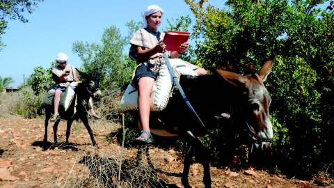 Two young men sit on donkeys carrying tablet devices