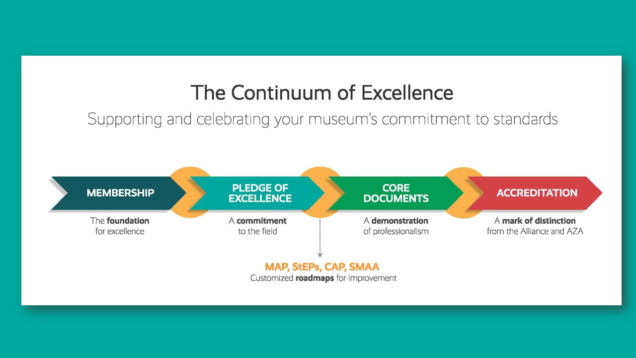 The Continuum of Excellence graphic starting with Membership, Pledge of Excellenced, Core Documents, Accreditation, and Museum Assessment Program.