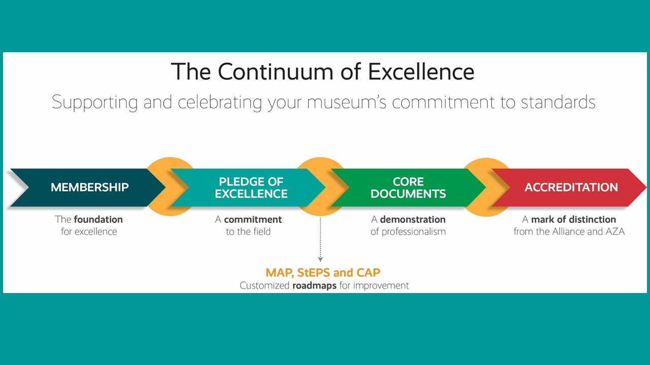 Image of a long arrow with points along the way that list the programs in the Continuum, including, membership, Museum Assessment Program, Core Documents Verification, Accreditation.