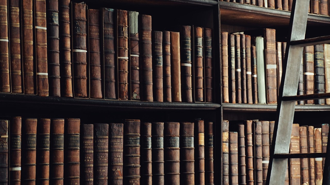 Image of a group of old leather library shelves with the hint of a ladder to the far right.