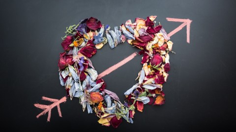 Image of a heart made with different colored flower petals with a pink chalk drawn arrow through it.