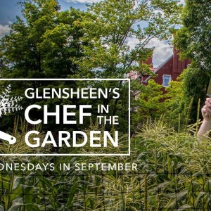 Promotional image of corn growing near the Glensheen mansion with someone wearing a chef's hat and carrying a sharp knife stand in the midst of the corn, their face obscured, with "Glensheen's Chef in the Garden. Wednesdays in September" overlayed in white letters to the right of the image.