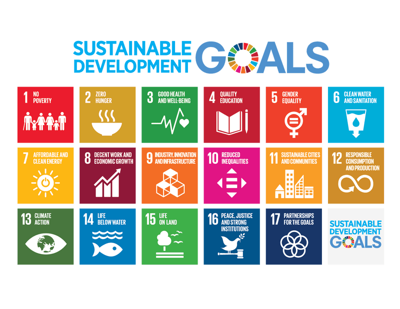 Infographic of the UN Sustainable Development Goals