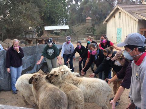 Image of a group of people ushering several sheet into a specified area.