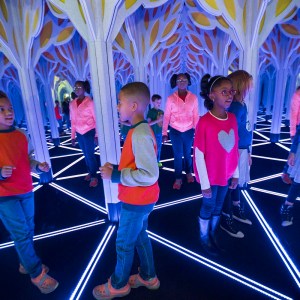 Several African American children stand in the Mirror Maze looking at their reflections. The mirrors are anchored by elaborate ooking tree like structures and geometrical shapes on the floor. 