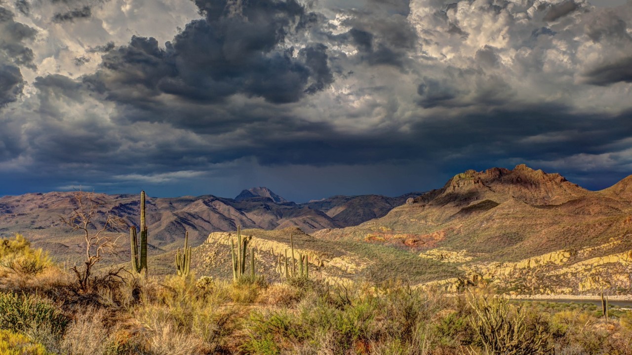 Image looking toward a mountain range with cactus and dark grey and blue clouds above.