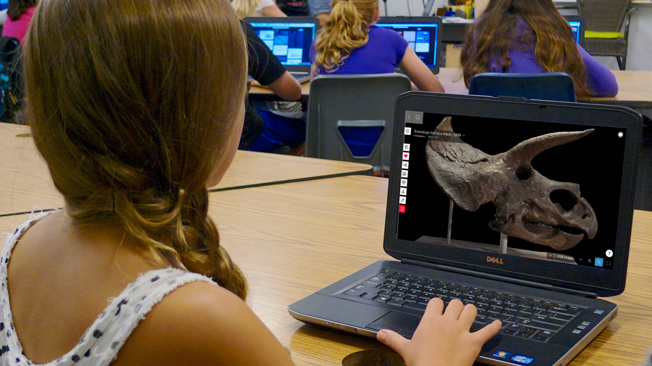 A young woman sits at a long desk with a laptop computer open in front of her. She has her right hand on the track mouse and the screen shows the image of aTriceratops skull in 3D. The young woman has her hair in a side braid and she is wearing a flowered tank top. The image is taken at an angle so you cannot see the young woman's face.