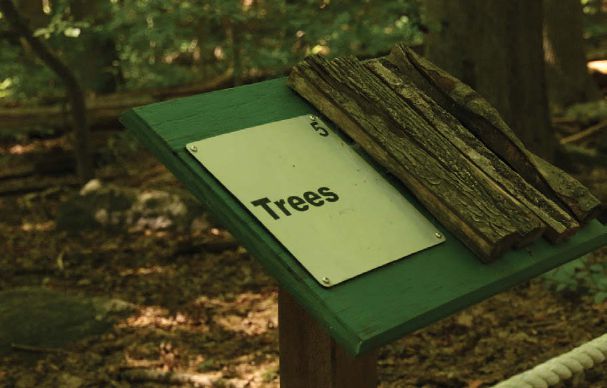 Image of a sign plaque with green backboard that says Trees with a sample of wood bark attached. 