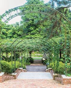 View of a garden walkway with arbors running down a brick stairway. 