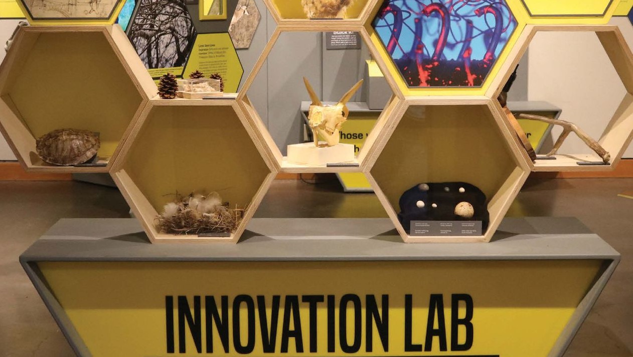 Image of the High Desert Museum's Innovation Lab which is all about Design Inspired by Nature. The Lab looks like a bee hive.