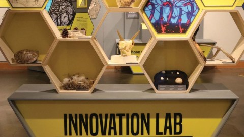 Image of the High Desert Museum's Innovation Lab which is all about Design Inspired by Nature. The Lab looks like a bee hive.