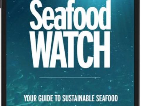 The Seafood Watch app helps inform decisionsabout seafood purchases.
