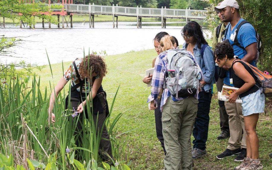 A group of people examine some greenery outside in a garden. 