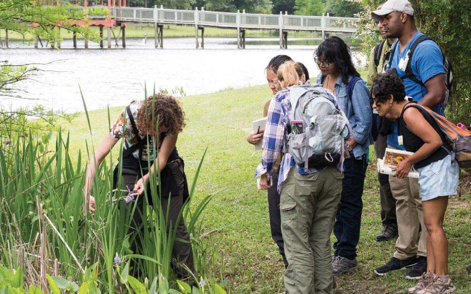 A group of people examine some greenery outside in a garden.