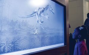 A young black girl watches a dinosaur skeleton on a screen.