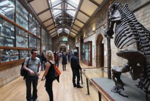 A large group of people mill about in a dinosaur exhibition. 