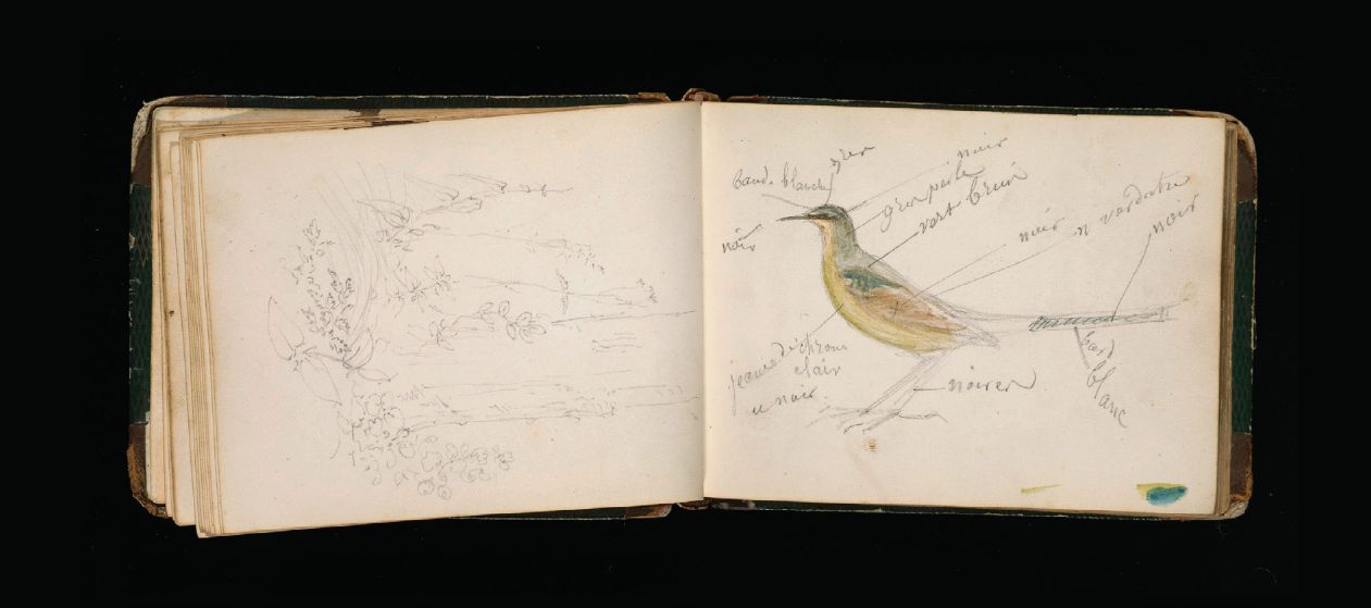 This Rosa Bonheur sketchbook from 1847 is one of 100,000 digitized images and associated metadata the Getty Research Institute has made available via the Digital Public Library of America.