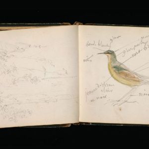 This Rosa Bonheur sketchbook from 1847 is one of 100,000 digitized images and associated metadata the Getty Research Institute has made available via the Digital Public Library of America.