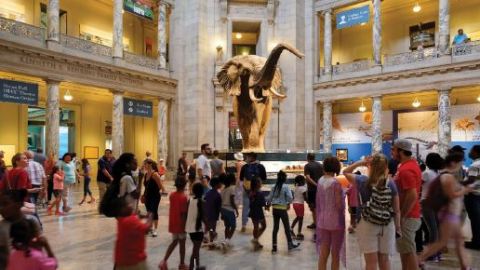 Interior view of the National Museum of Natural History with a crowd of young and old people standing in front of a taxidermied elephant.