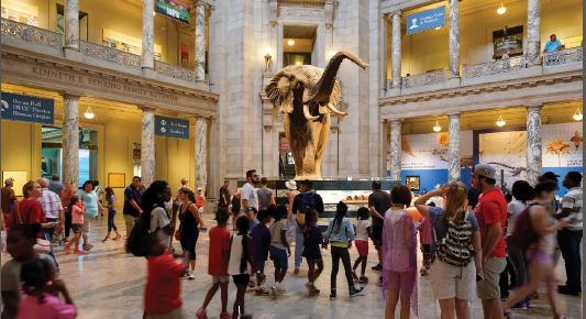 Interior view of the National Museum of Natural History with a crowd of young and old people standing in front of a taxidermied elephant.
