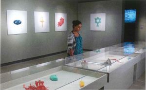 A woman gazes into a case in a gallery.