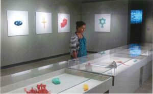 A woman gazes into a case in a gallery.