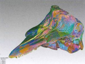 3D image scan of an artifact. 