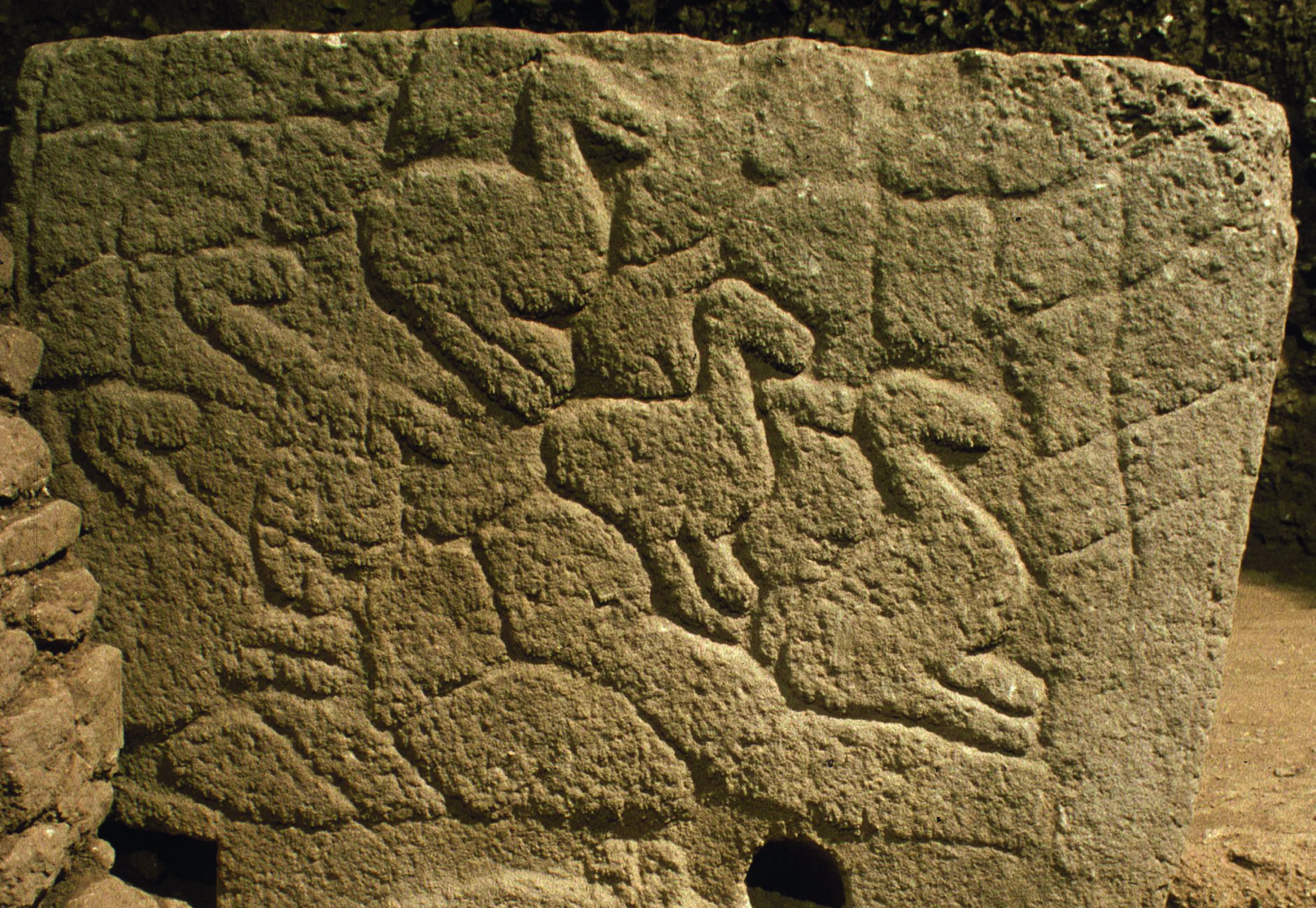 PillarPillar 12 in Enclosure C at Göbekli Tepe in southern Turkey, with a carving of a wild boar and fox