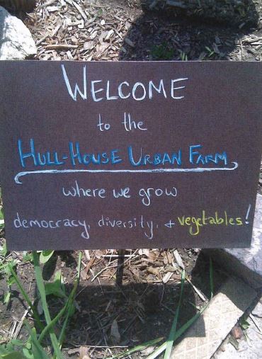 View of a Welcome sign saying "Welcome to the Hull-House Urban Farm where we grow democracy, diversity, + vegetables!".
