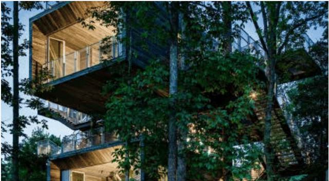 View of a terraced wooden and metal house in the trees.