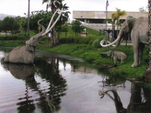 Image of a mammoth stuck in a tar pit with two other mammoths standing on the edge of the pit. 
