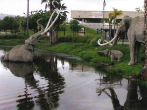 Image of a mammoth stuck in a tar pit with two other mammoths standing on the edge of the pit.