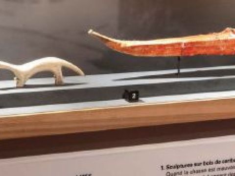 A model boat and a carved bone animal sit in a display case. 