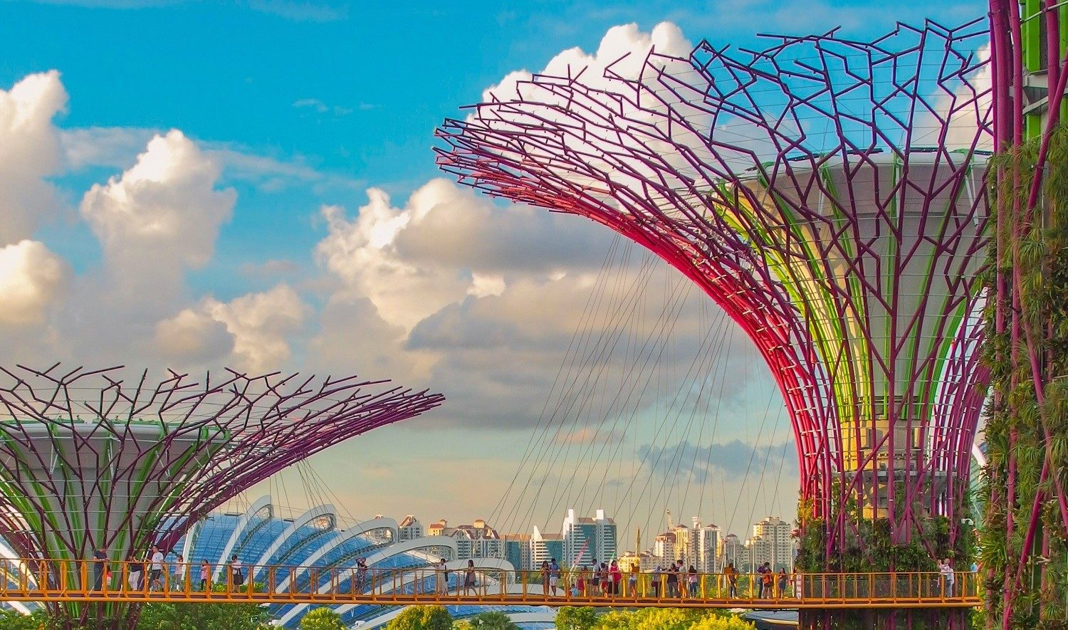 Tree-like structures with various pink, yellow, and green colors stand in a beautifully lush green and colorful garden setting. 