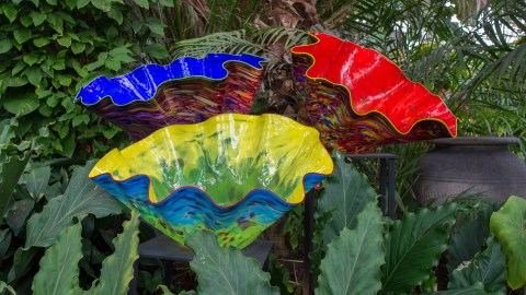 Glass bowl-like sculptures painted in bright primary colors and expressive brushstrokes are displayed in pedestals inside of a garden of palm trees.