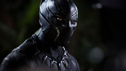 A still photograph of the Black Panther character T'Challa in superhero costume, which is black, sleek, and spiky.