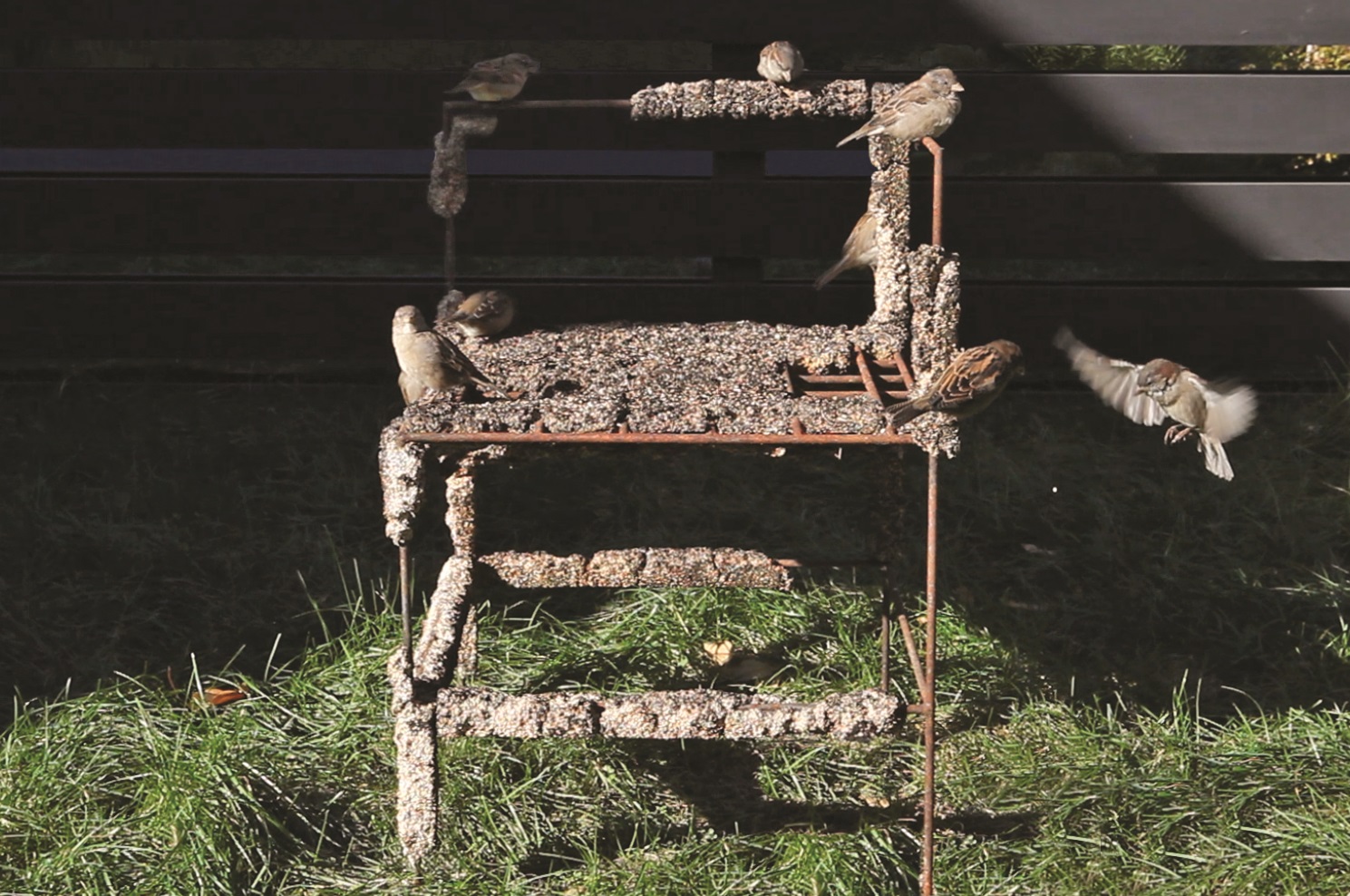 A corner chair made out of steel covered in birdseed sits on a lawn with several different birds flying and sitting on the arms.