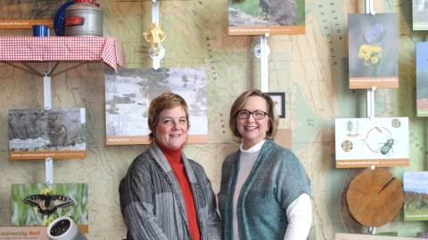 The two co-directors pose next to each other in front of an exhibit at their museum, which deals with wildlife.