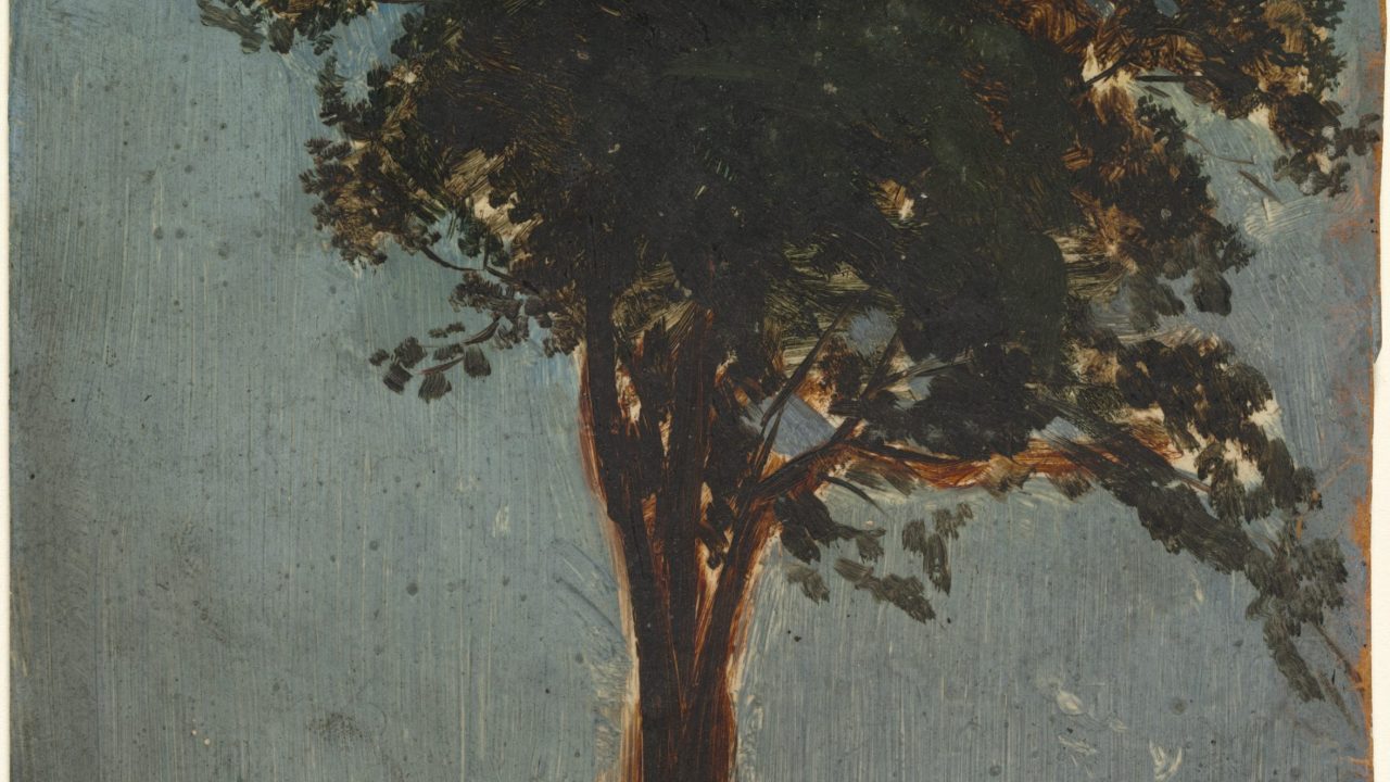 A painting of a tree against a faded blue background