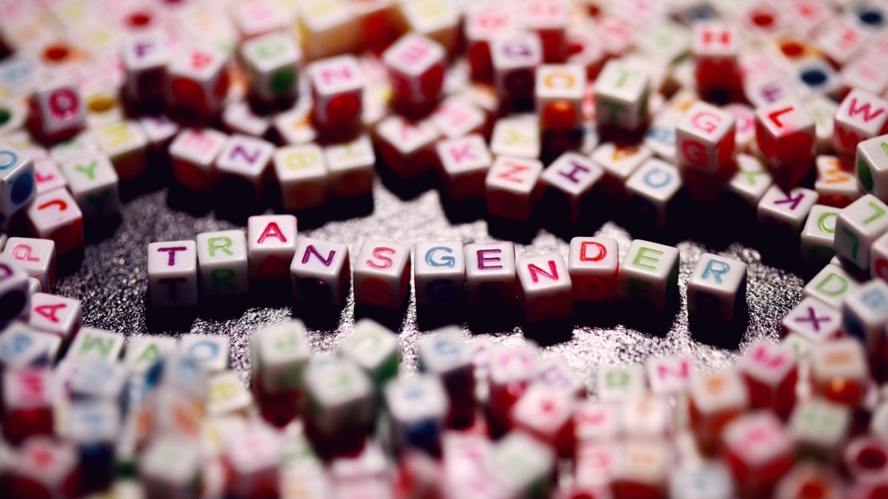 Multi-colored transgender letters for gender identity.