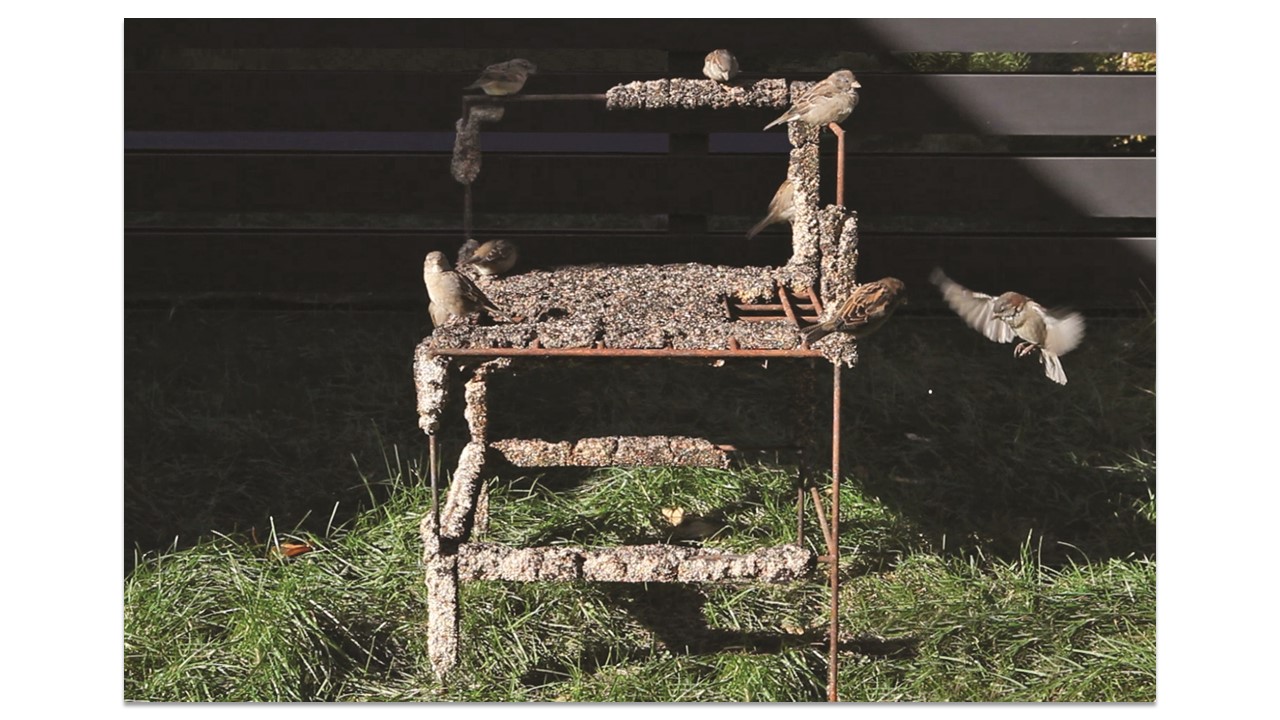 A corner chair made out of steel covered in birdseed sits on a lawn with several different birds flying and sitting on the arms.
