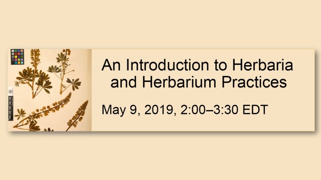 An Introduction to Herbaria and Herbarium Practices webinar May 9, 2019, 2:00 - 3:30 pm ET