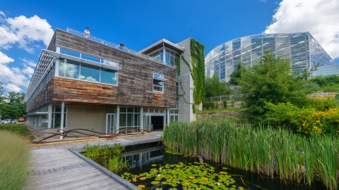 Against a bright blue sky, a glass and wood building abuts greenery and natural features, including a lily pond with a wooden walkway surrounding it.