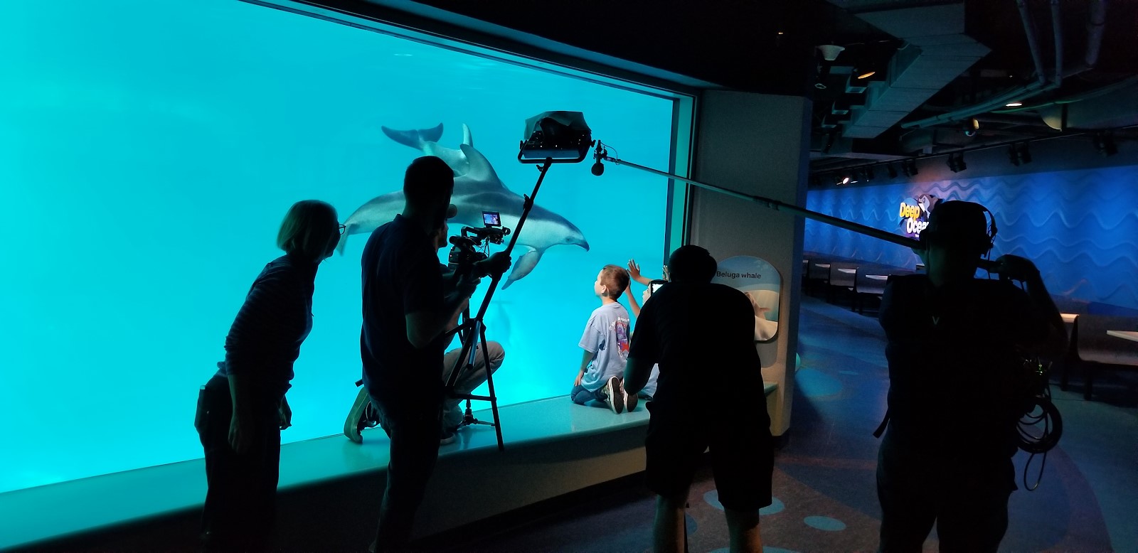 Shedd Aquarium’s Sea Curious Kids Video in action