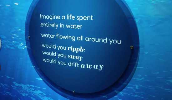 The label text is shown on a dark blue circle and displayed directly on the glass of an aquarium.